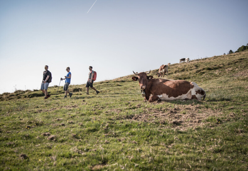 Wanderer auf einer Alm im Salzkammergut.