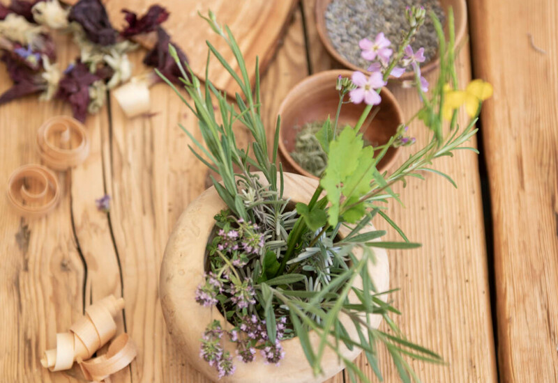 Kräuter und Holzschalen auf einem rustikalen Holztisch arrangiert, ideal für Natur- und Wellnessliebhaber.