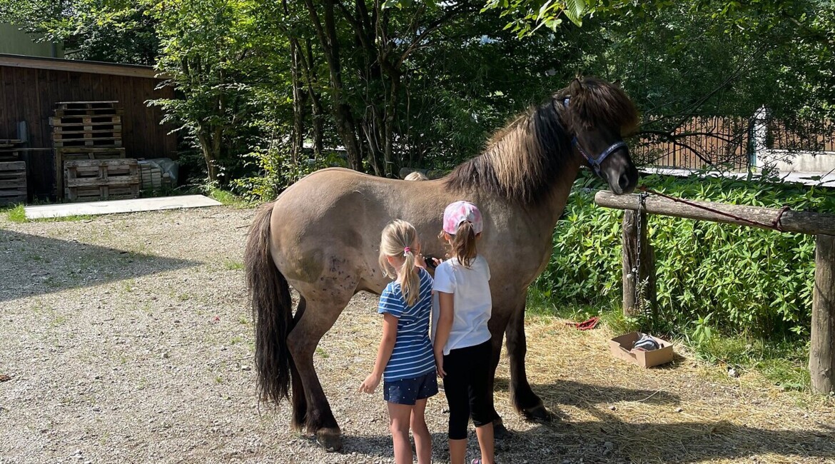 Zwei Kinder stehen neben einem Pony auf einem sonnigen Hof mit Bäumen im Hintergrund.