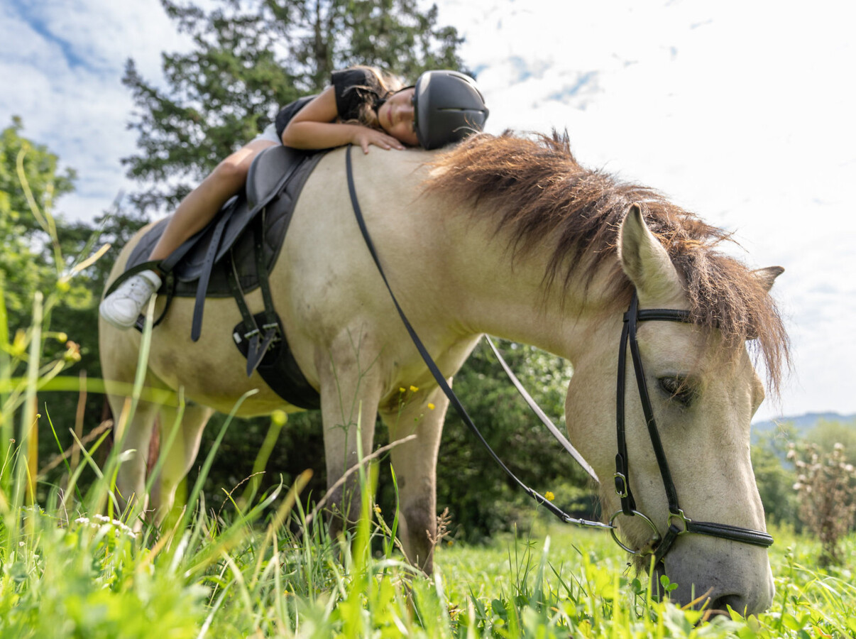 Kinder auf einer Kutsche mit zwei Ponys im Familienhotel Waldhof Fuschlsee Resort, Salzkammergut.