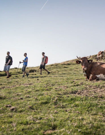 Wanderer auf einer Alm im Salzkammergut.