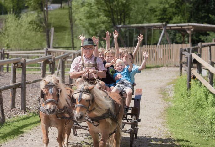 Children enjoying a horse-drawn carriage ride on a sunny day, surrounded by wooden fences and greenery.